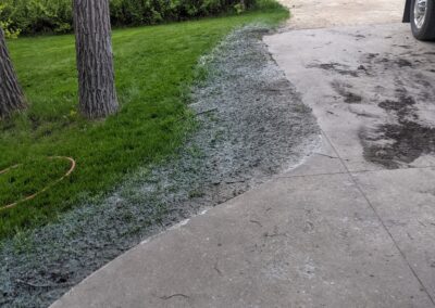 Grass - before